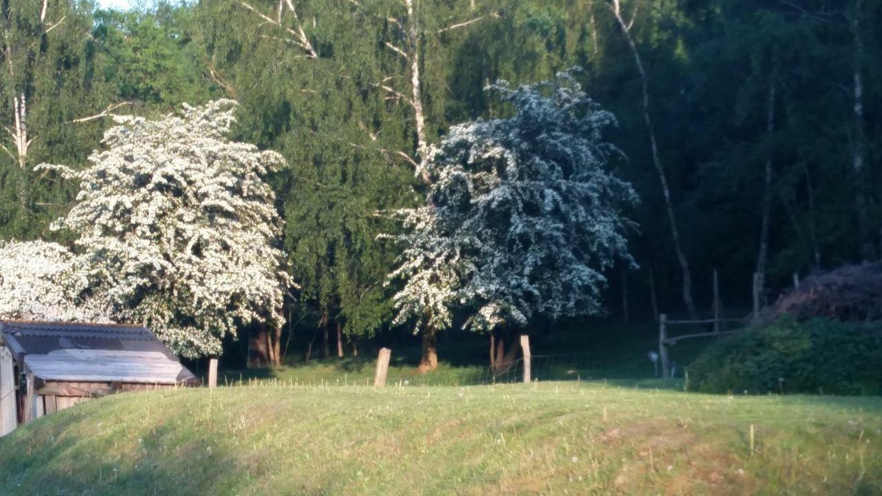 Zimmervermietung Am Holzberg Thallwitz ภายนอก รูปภาพ